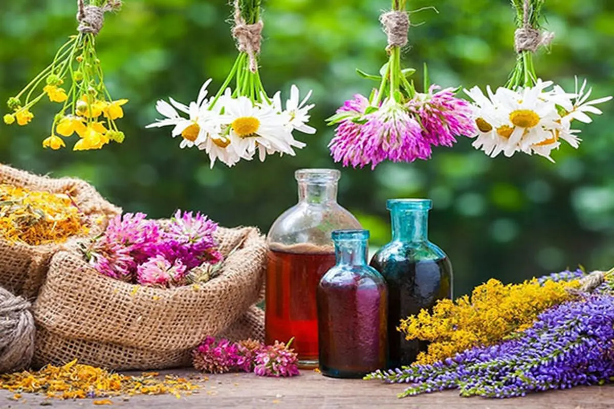 بحران کم‌آبی و ضرورت کشت گیاهان دارویی / مهمترین چالش، نوسانات ارزی و محدودیت اعتبارات است