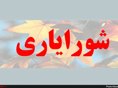 ممنوعیت ارتباط مالی شورایاران با شهرداری‌‌های مناطق/ مردم کارکرد مناسبی از شورایاری‌ها نمی‌بینند