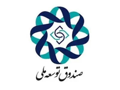 قرار نیست صندوق توسعه ملی جایگزین بانک‌ها شود/ رتبه‌بندی بانک‌ها در استفاده از منابع صندوق 