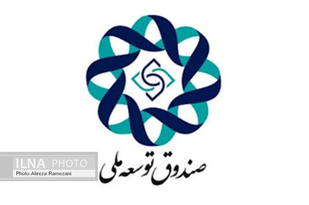 قرار نیست صندوق توسعه ملی جایگزین بانک‌ها شود/ رتبه‌بندی بانک‌ها در استفاده از منابع صندوق 