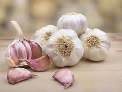 برای پوک نشدن سیر چه کنیم؟+ فیلم