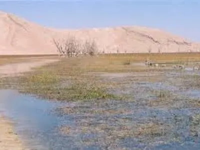 تالاب قدیمی  شهرستان خانمیرزا احیا می شود 