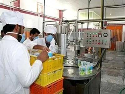 صدور ۷ فقره جواز تاسیس صنایع تبدیلی بخش کشاورزی در استان سمنان