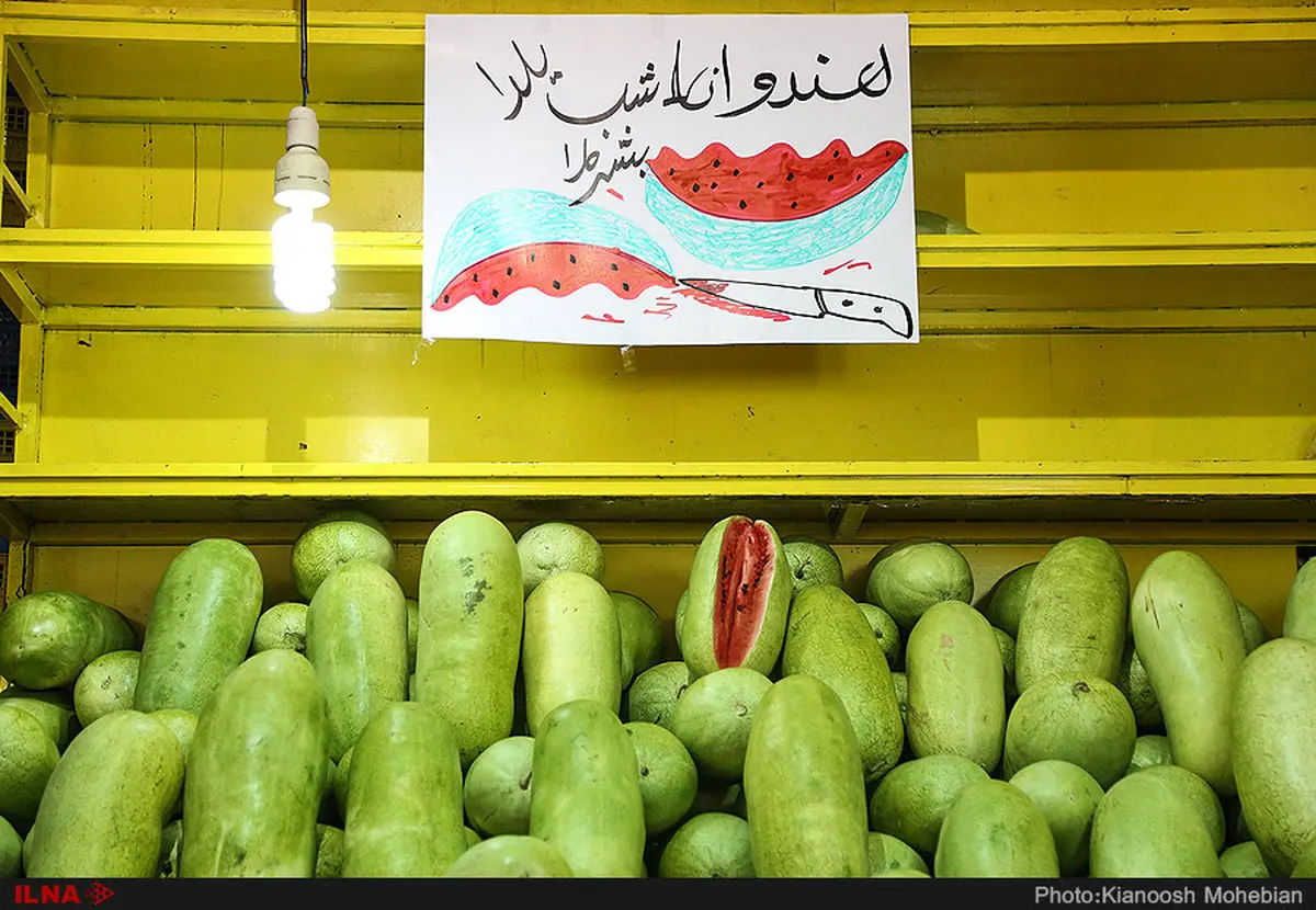 نگران فروش میوه شب یلدا هستیم/ تولید هندوانه یک و نیم برابر شد/ صادرات مرکبات افزایش می‌یابد