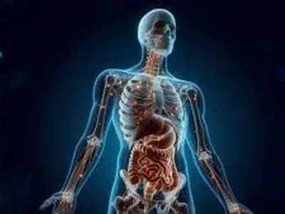 آناتومی بدن وقتی چربی ها احاطه‌شون میکنن + فیلم