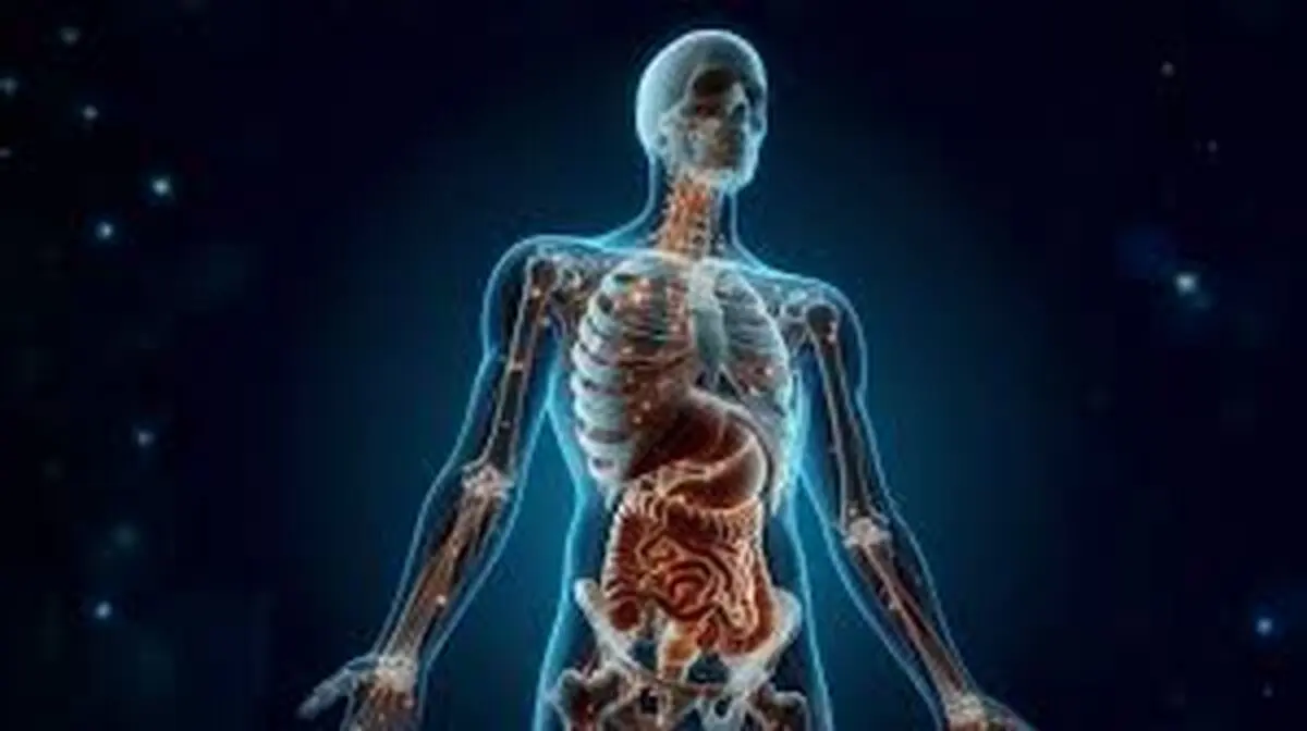 آناتومی بدن وقتی چربی ها احاطه‌شون میکنن + فیلم