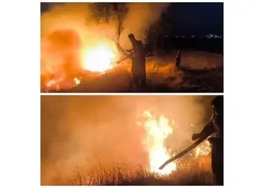 آتش‌سوزی در منطقه حفاظت‌شده بیستون مهار شد