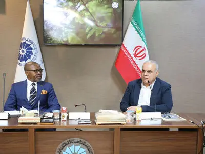  ظرفیت‌های اقتصادی ایران و آفریقای جنوبی فراتر از حجم مبادلات تجاری است