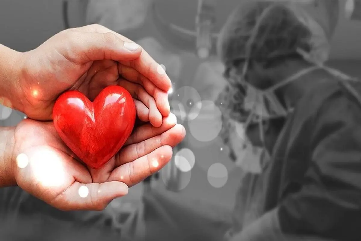 ثبت هجدهمین اهدای عضو سال جاری در یزد