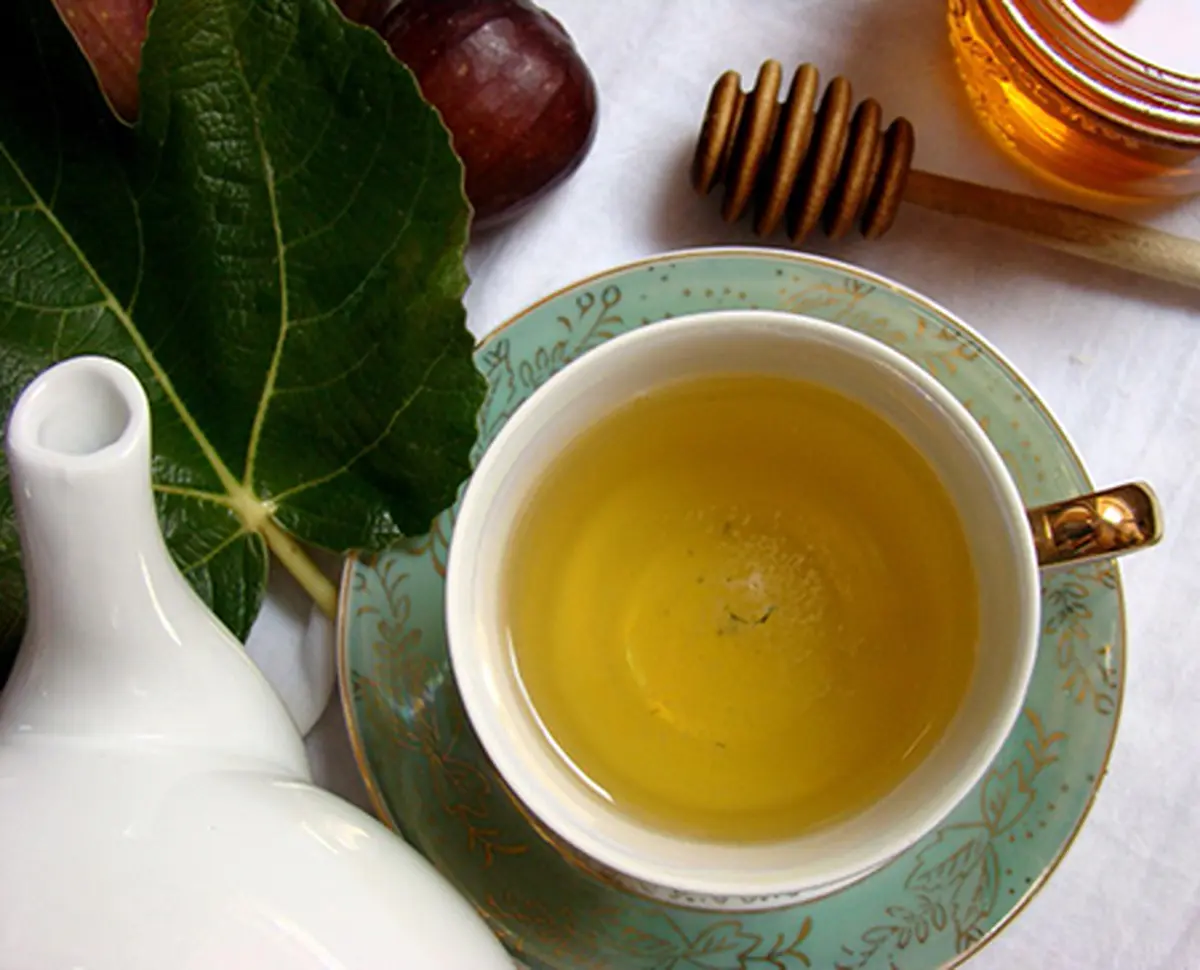 چای برگ انجیر؛ یک گزینه خوشمزه و سالم برای نوشیدن 