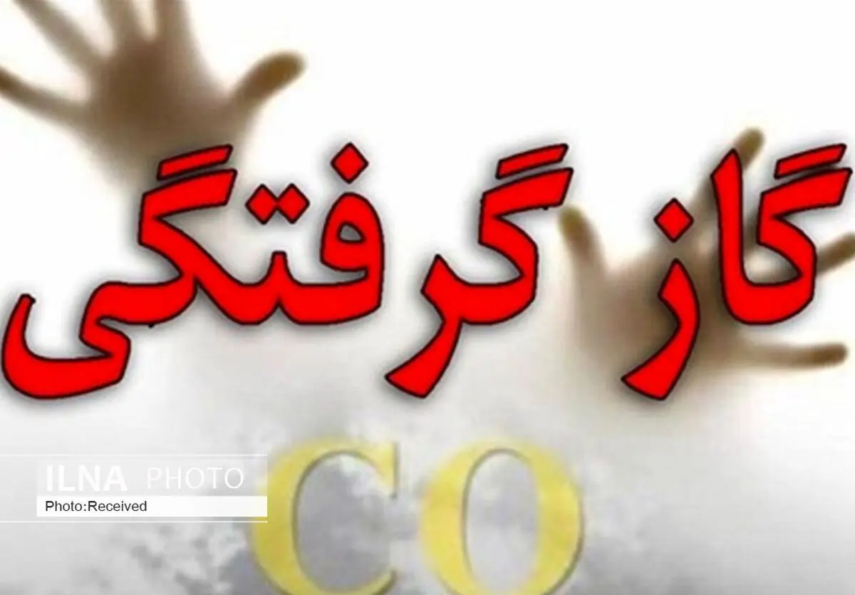 سه نفر در کردستان بر اثر مسمومیت با مونوکسید کربن جان باختند