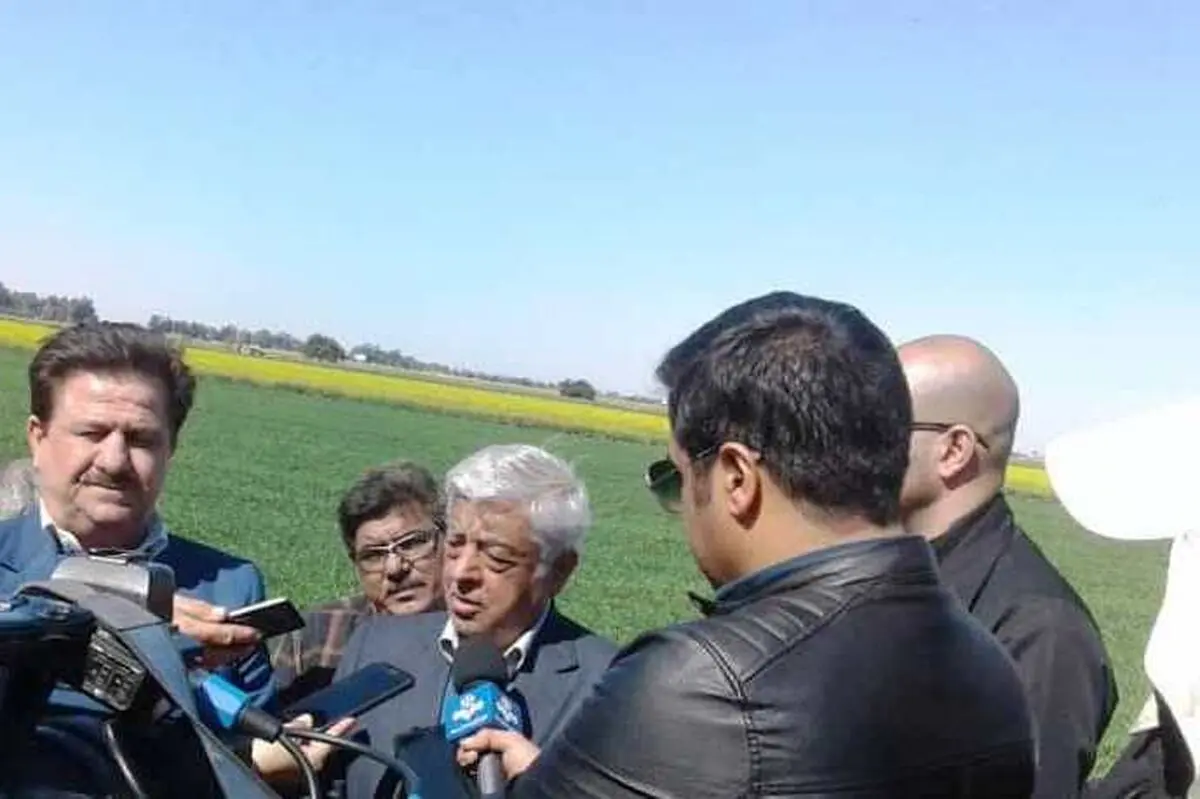 تولید ۴۰ درصد شکر مورد نیاز کشور در خوزستان/مشکل قیمت کود با پتروشیمی‌ها حل شد