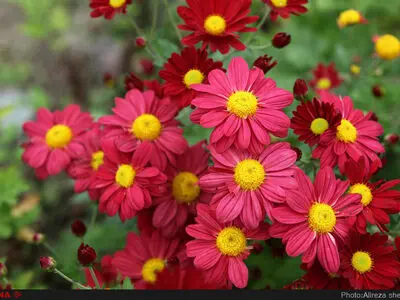 بهار، جلوه زیبای خداوند