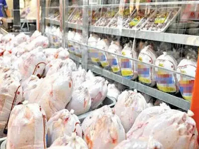 اتصال واحدهای صنفی استان مرکزی به سامانه رصدیار توزیع مرغ