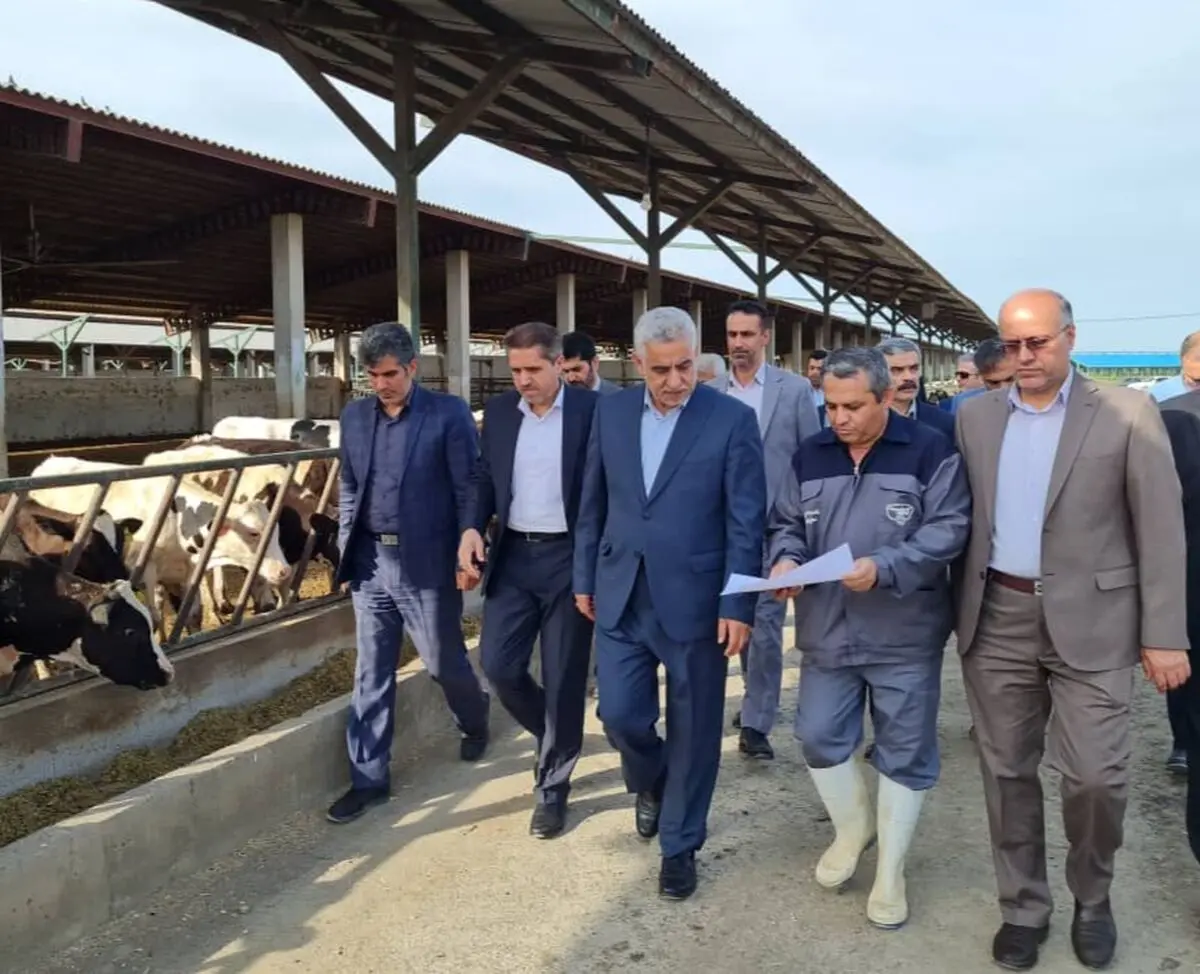 بازدید استاندار گیلان از مجتمع بزرگ کشت و صنعت و دامپروری در رشت