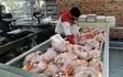 مشکلی در تامین مرغ مورد نیاز آذربایجان غربی وجود ندارد