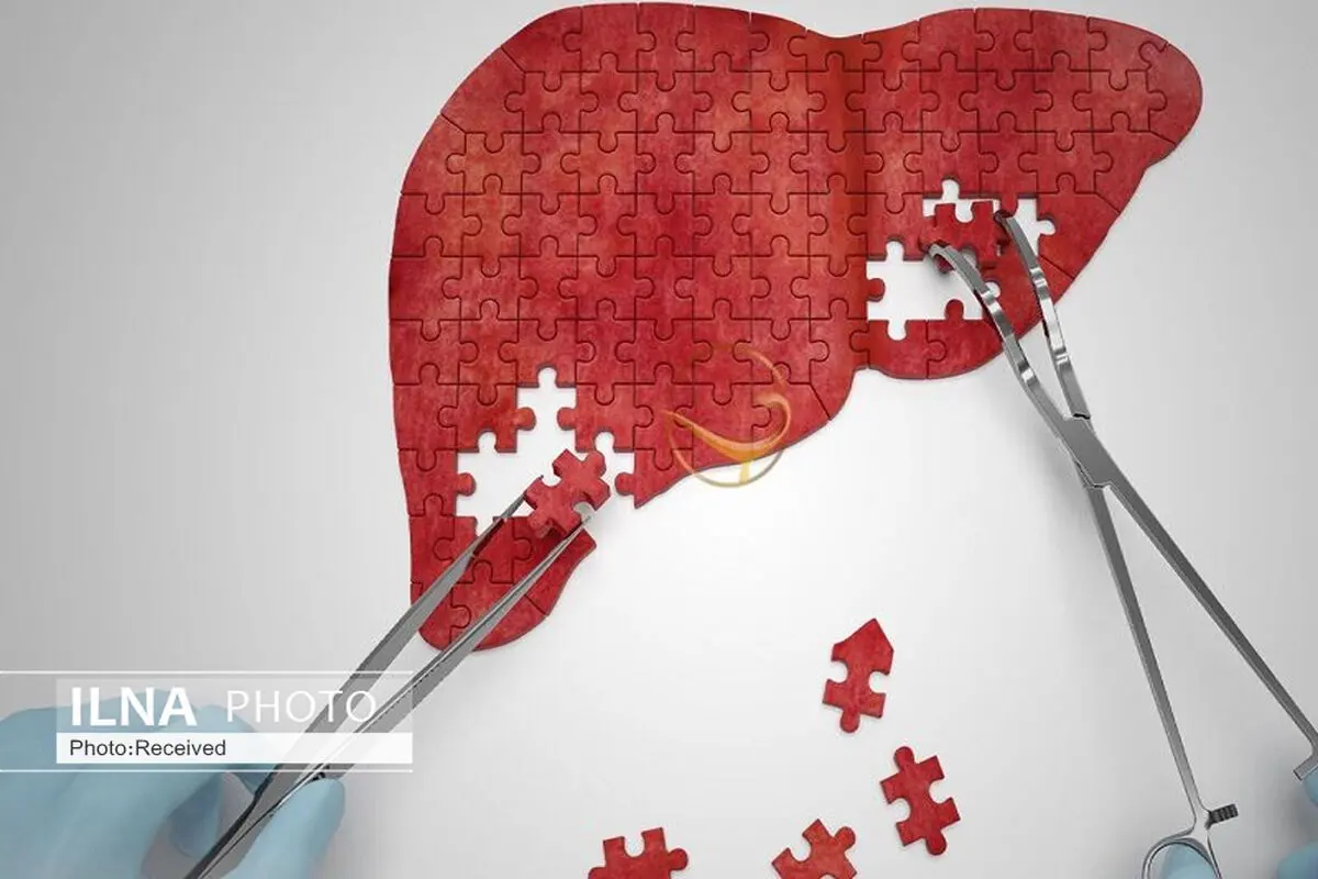 اهدای عضو در البرز به محور همکاری دستگاه‌های اجرایی و قضایی تبدیل شد