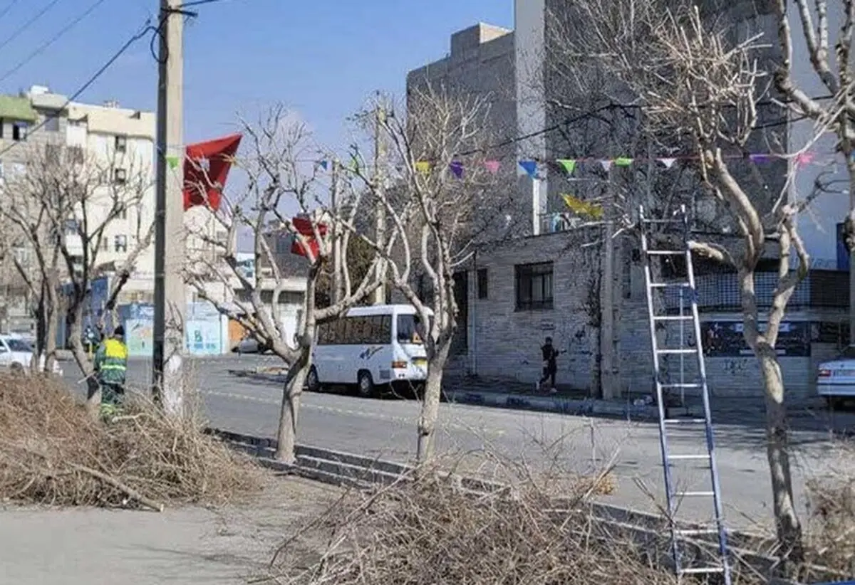 آغاز عملیات طرح استقبال از بهار در منطقه ۶ شهرداری کرج