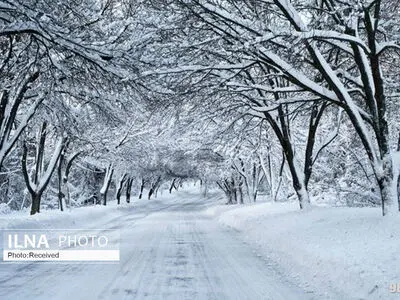 سرما تا اواسط هفته در قزوین ادامه دارد