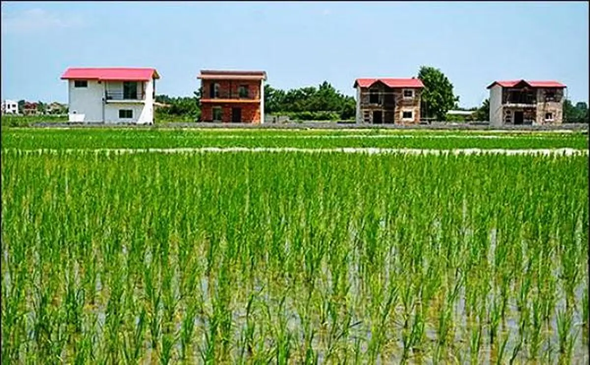 واکنش نماینده مازندران به ادعای ساخت و ساز گسترده در زمین‌های جنگلی و شالیزاری توسط یک شرکت مدیریت پسماند 