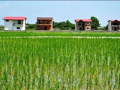 واکنش نماینده مازندران به ادعای ساخت و ساز گسترده در زمین‌های جنگلی و شالیزاری توسط یک شرکت مدیریت پسماند 