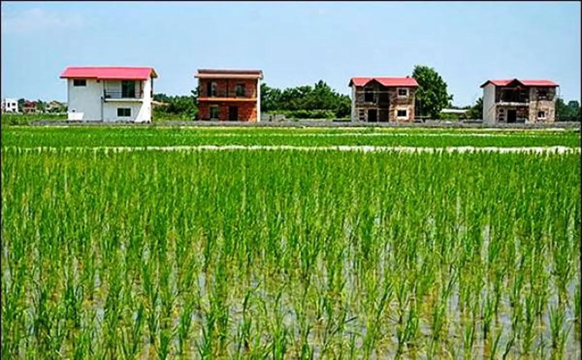 واکنش نماینده مازندران به ادعای ساخت و ساز گسترده در زمینهای جنگلی و شالیزاری توسط یک شرکت مدیریت پسماند