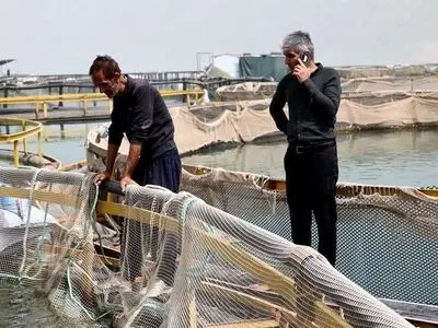 وزش باد در چهارمحال و بختیاری سبب خروج ۱۰ تن ماهی از دسترس آبزی پروران شد