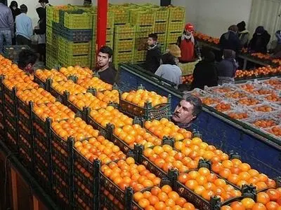 عرضه میوه و خرمای تنظیم بازاری؛ از ۲۰ اسفند

