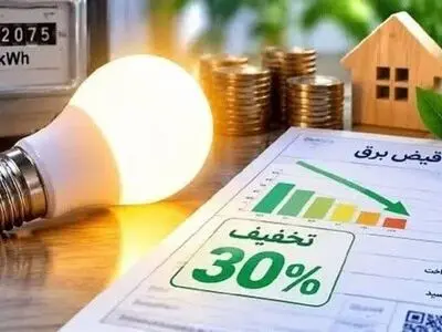 ۸۵ درصد مشترکان خانگی فارس الگوی مصرف برق را رعایت می‌کنند