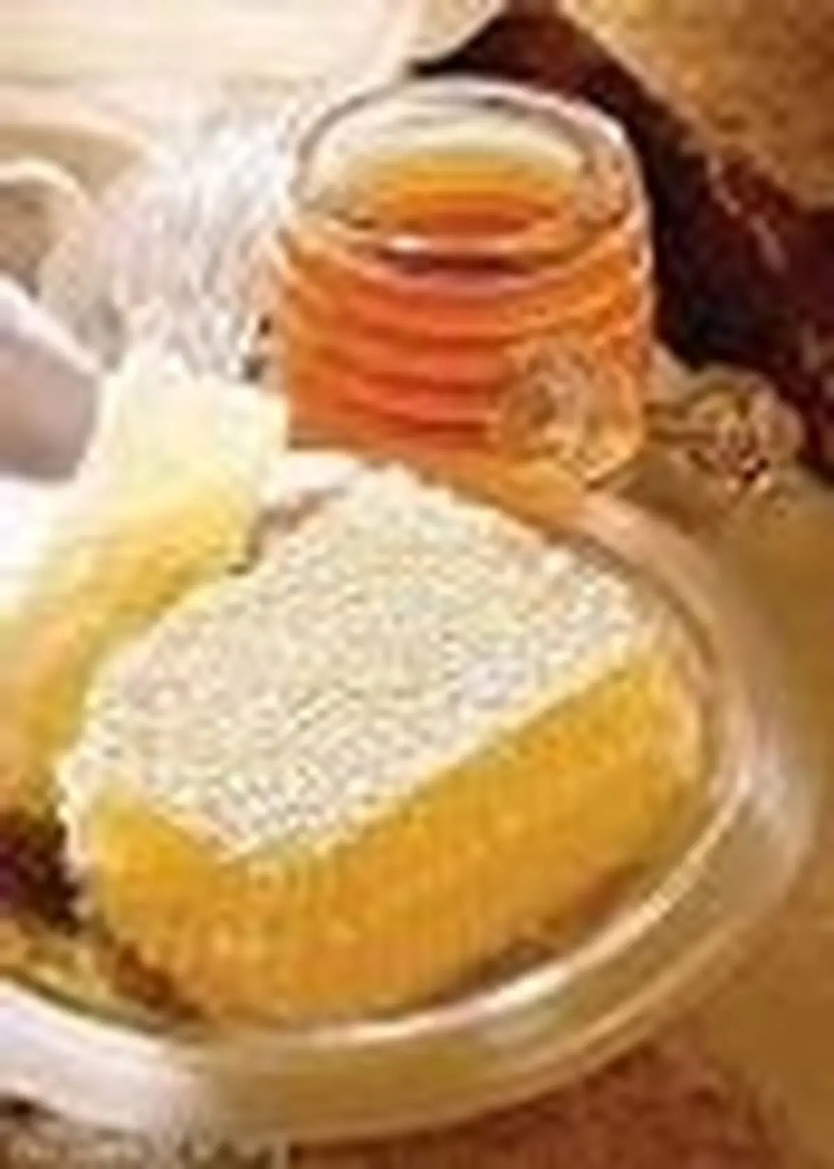 پایان برداشت عسل در گیلان