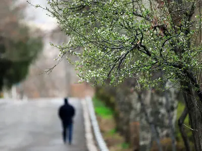 آشنایی با مسیرهای پیاده‌روی پایتخت در فصل شکوفه ها 