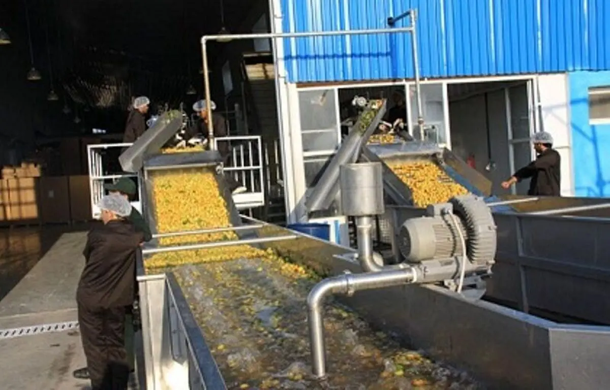 پرداخت تسهیلات صندوق صنایع پیشرفته در گیلان