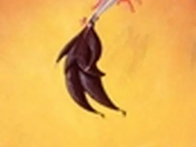 ممانعت از ورود یکی از کارگران معترض به کارخانه سیمان سپاهان