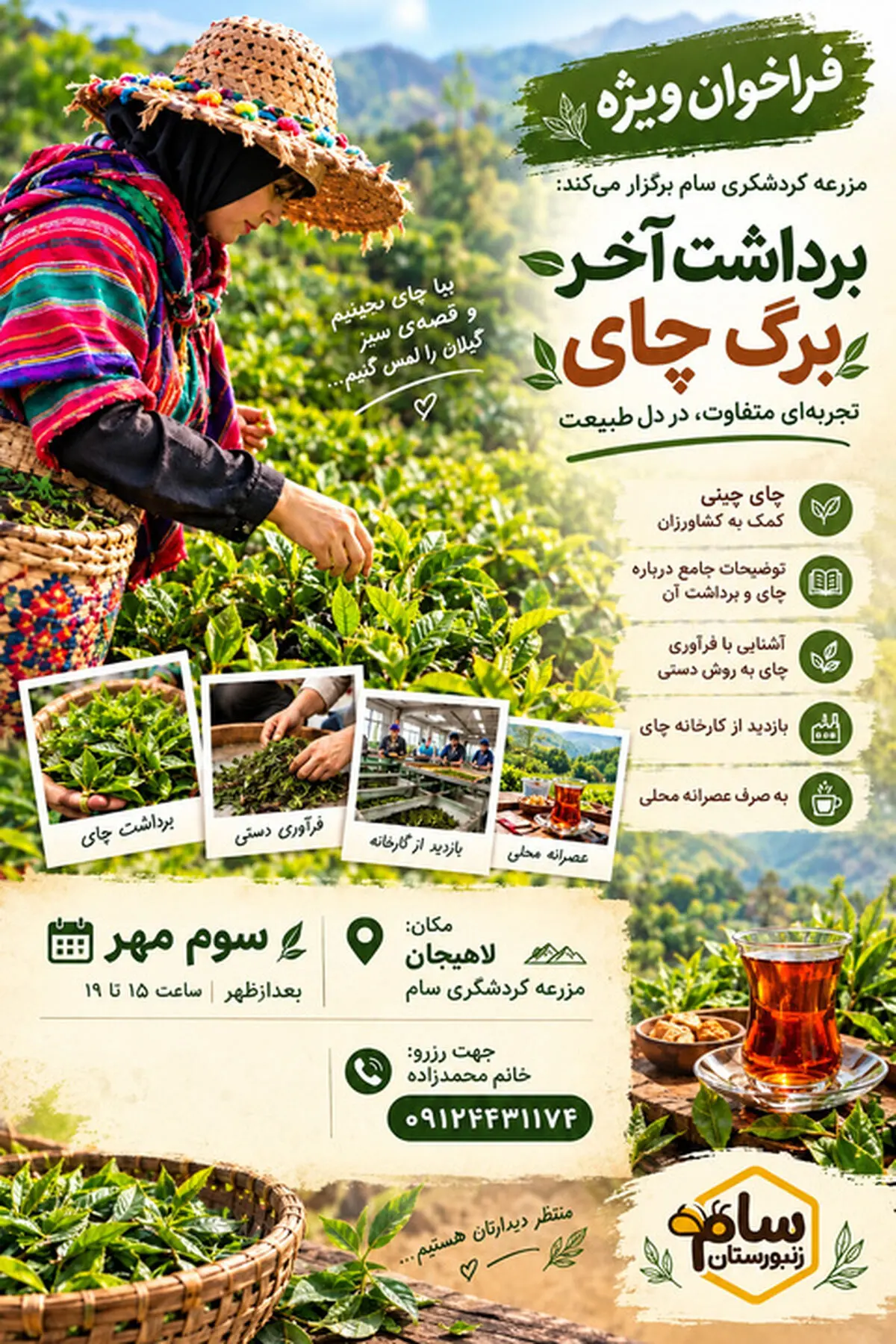 رویداد «برداشت آخر برگ چای» در لاهیجان برگزار می‌شود