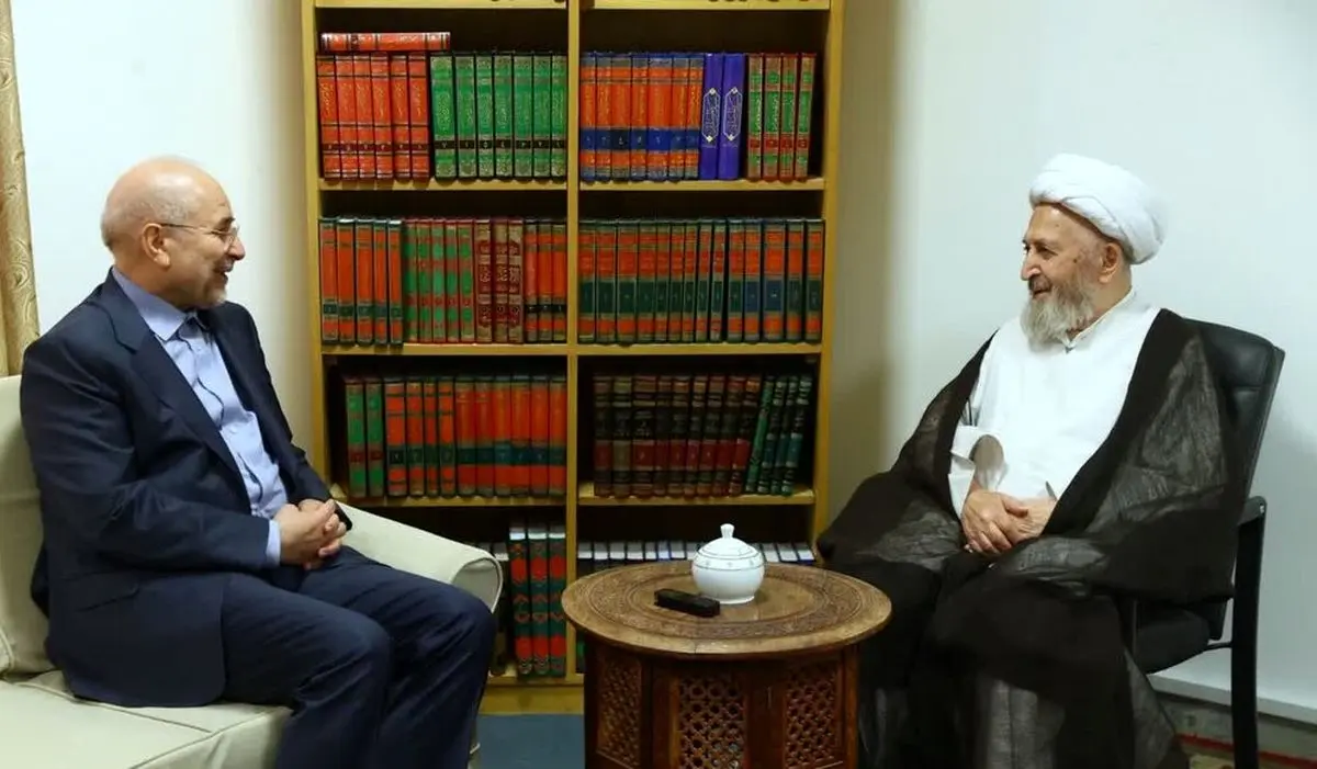 دیدار رییس مجلس شورای اسلامی با آیت الله سبحانی 