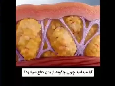چگونه چربی های بدنمان را از بین ببریم + فیلم