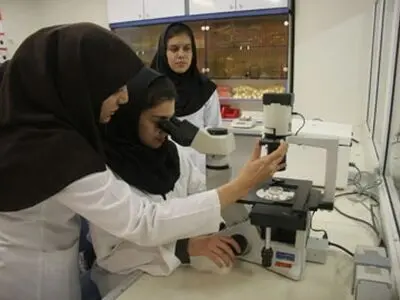 سهمیه کنکور بهیاران بازگردانده شد
