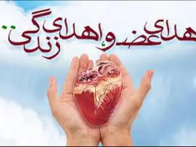 اهدای عضو کودک فومنی به ۲ بیمار جان دوباره بخشید