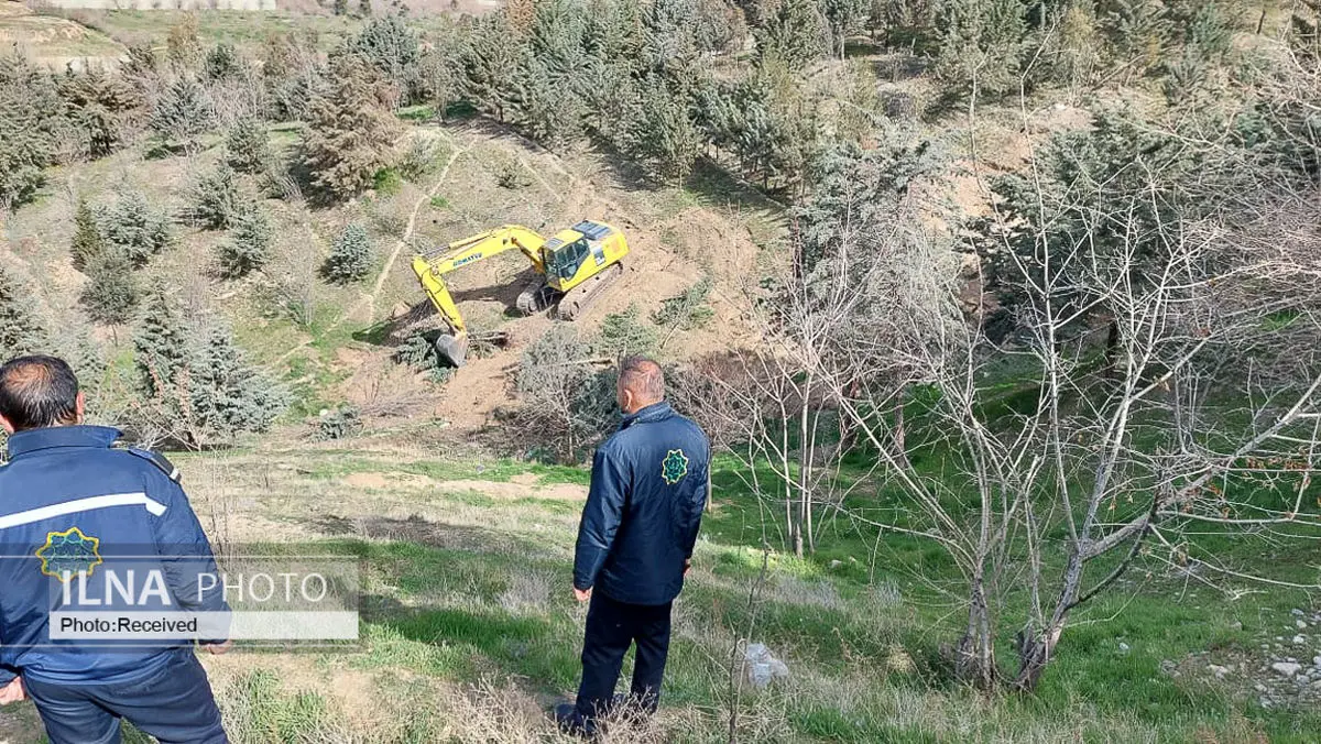 واکنش عضو شورا به تکذیب قطع ۲۰۰ اصله درخت در دانشگاه تهران/ عکس‌ها گویای قتل عام درختان است + فیلم و عکس