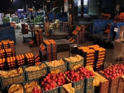 قیمت پایین میوه صدای اعتراض کشاورزان را درآورده است/ برخی میوه‌ها هزینه حمل و نقل خود را هم در نمی‌آورند