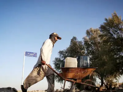 شیراز قربانی توسعه شتاب‌زده شده/ روند فزاینده خشکی با وجود بارندگی‌های مقطعی ادامه دارد