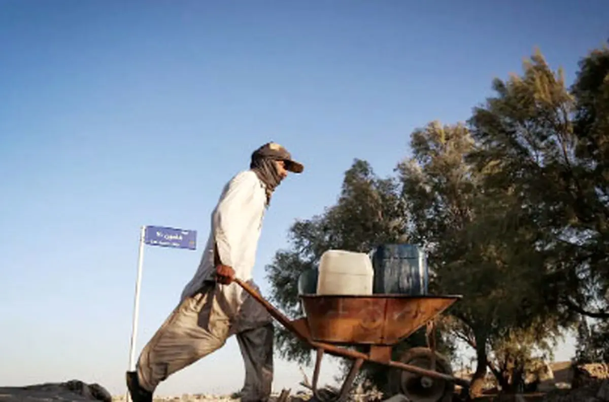 شیراز قربانی توسعه شتاب‌زده شده/ روند فزاینده خشکی با وجود بارندگی‌های مقطعی ادامه دارد