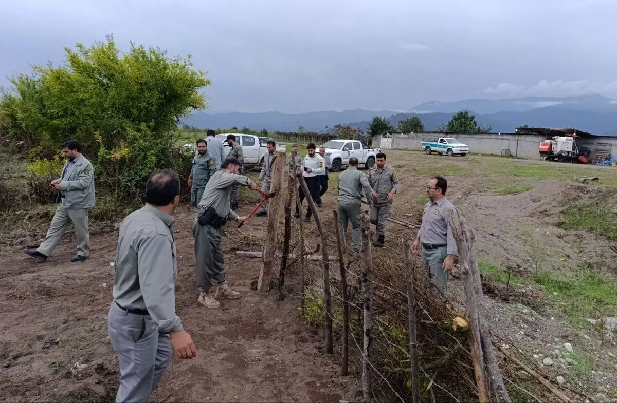 آزادسازی یک هکتار زمین ملی در منطقه حفاظتشده لیسار تالش آزادسازی یک هکتار زمین ملی در منطقه حفاظتشده لیسار تالش