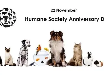 ۲۲ نوامبر روز جامعه انسانی است