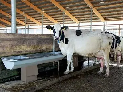 شناسایی مورد مشکوک تب برفکی سویه آفریقایی در نیشابور