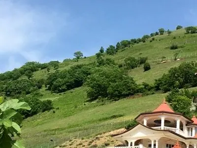 asdasd