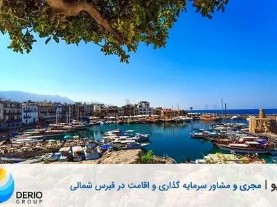 دریو مجری و مشاور سرمایه‌گذاری و اقامت در قبرس شمالی