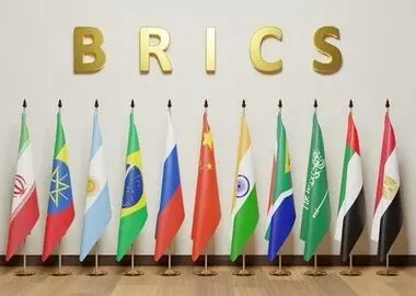 دیدار وزیر اقتصاد ایران با رئیس بانک توسعه نوین بریکس 