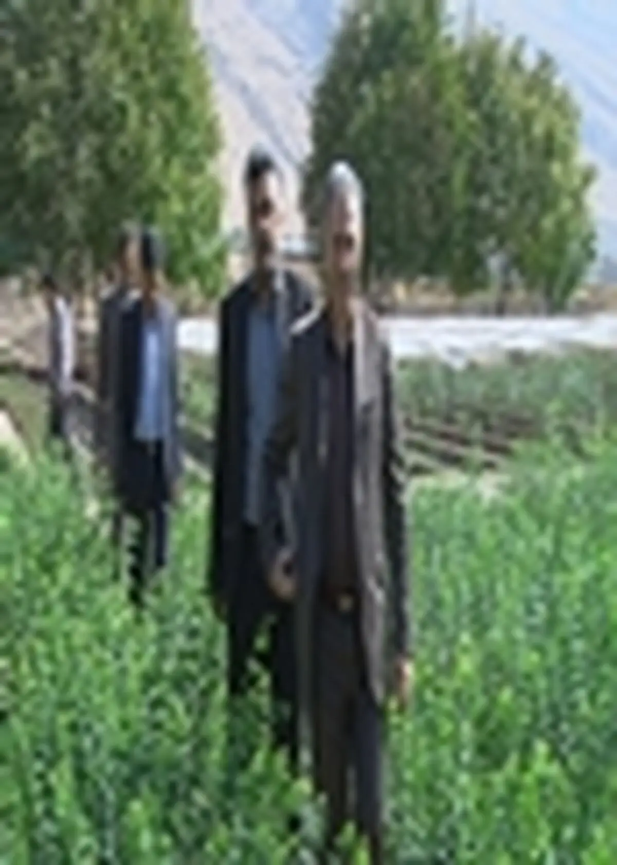 اجرای عملیات پرورشی و بهسازی جنگل در استان ایلام