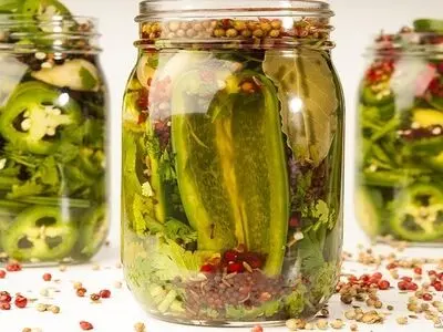 طرز تهیه ترشی گشنیز ؛ یک ترشی خوشمزه و خاص